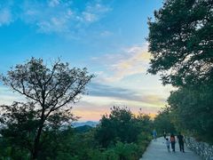 -北京西山国家森林公园