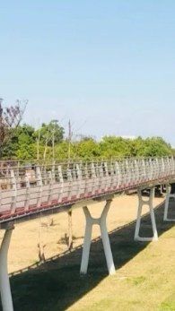 -江滩湿地公园