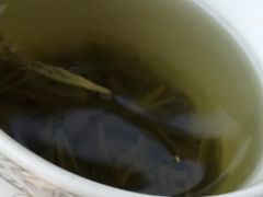 -上海方塔园-何陋轩
