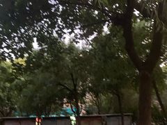 -方庄体育公园