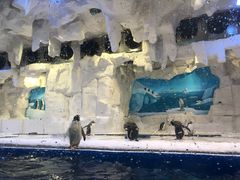 -华夏文旅西安度假区