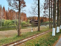 -黄海国家森林公园