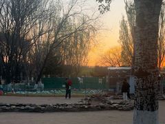 -长白岛森林公园