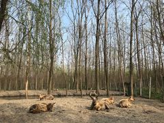 -溱湖国家湿地公园