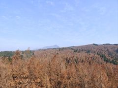 -山王坪喀斯特国家生态公园