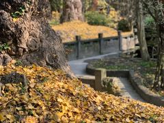 -郫都区农科村景区