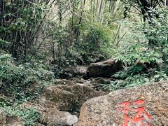 -大雁山风景区
