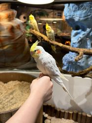 -Zoolung Zoolung动物主题公园(海信广场店)