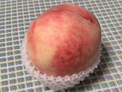 -南汇新场正宗水蜜桃采摘