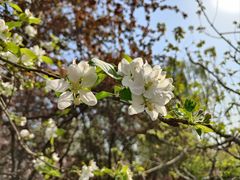 -元大都城垣遗址公园