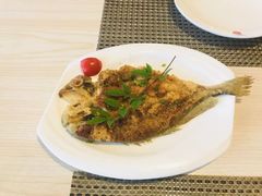 -割烹酱子日本料理(弘基财富广场店)