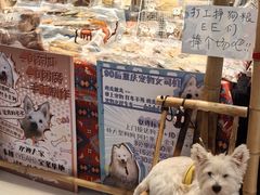 -龙湖重庆时代天街