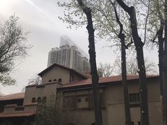 -静园(和平区)