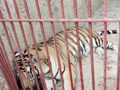 -田园寨农园观光园