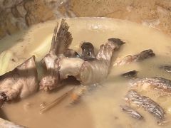 -云海肴云南菜·蒸汽石锅鱼(北京良乡华冠店)