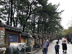 -海东龙宫寺