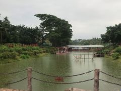 -松山湖梦幻百花洲
