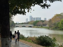 -海珠湖公园