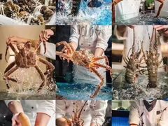 -鹊华居·地道鲁菜·海鲜·融合味(大明湖店)