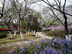 -白塘生态植物园