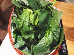 菠菜-木辛水水冰煮羊(新一中店)