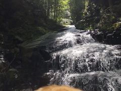 -藏龙百瀑风景区