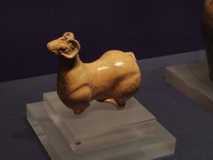 -温州博物馆