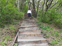 -白草畔自然风景区