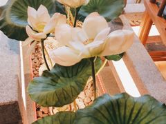 -荷塘秋月·本帮江浙菜(国权路店)