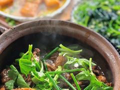 -霞姐屯昌枫木香草鸭店(海螺店)