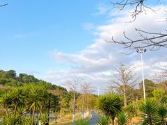 -东莞植物园