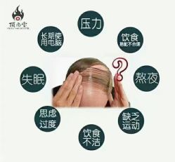 -顶尚堂白发脱发养发