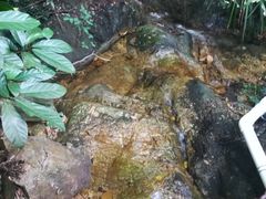 -牛鱼嘴原始生态风景区