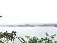 -广州市流溪河国家森林公园