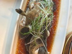 -院子餐厅·大锅菜·老杭帮(桥西直街店)