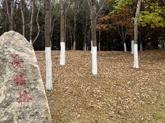 -长春世界雕塑园冰雪艺术天地