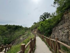 -白水寺森林公园
