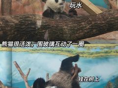 -南宁市动物园