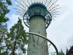 -黄海国家森林公园