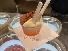 -DIP in GELATO(富民路店)
