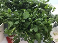 西洋菜-钢管厂五区小郡肝串串香(南山店)