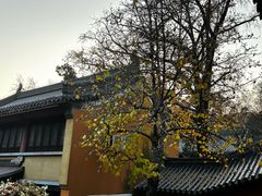 -灵谷景区