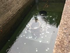 -蔡元培故居