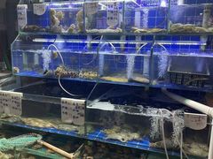 -香满居张记小厨私房菜(青岛站店)