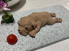 网红沙皮狗-光明招待所(邦凯科技园店)