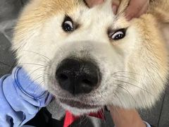 -YCHL Studios健身工作室(市二宫店)