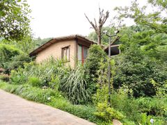 -杭州开元森泊度假乐园