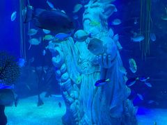 -沈阳海洋探索中心