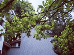 -遵义会议纪念馆