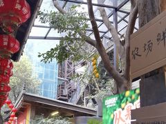 -巴倒烫陆派火锅山庄(南山总店)